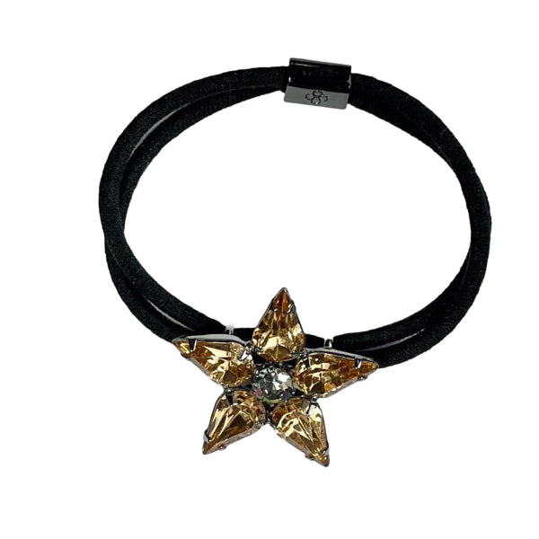 Starlet Pony Large